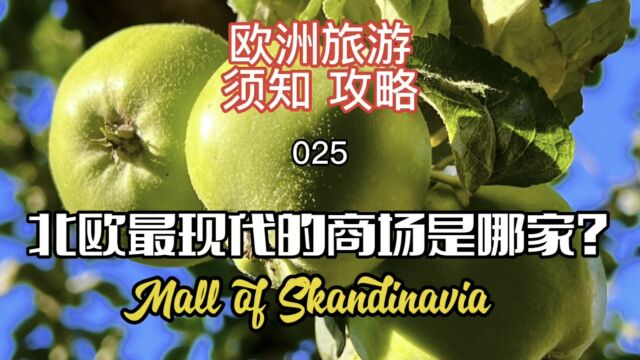 欧洲旅游须知攻略025北欧最现代的商场是哪家?Mall of Scandinavia 1