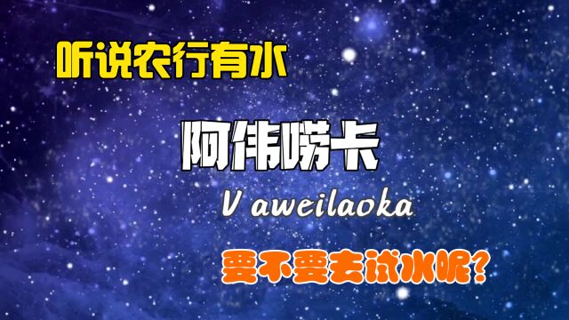 听说农行又大放水了,征信黑花都能上车,是真的吗要不要试试水呢