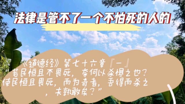 罗大伦博士聊《道德经》第七十六章『一』“若民恒且不畏死,奈何以杀惧之也?使民恒且畏死,而为奇者,吾得而杀之,夫孰敢矣?”