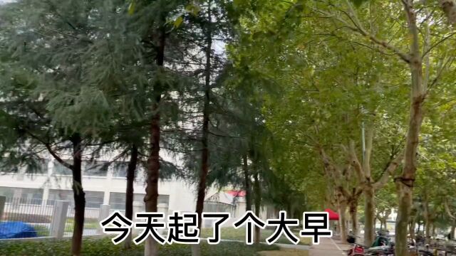 大四老学姐的一日流水账