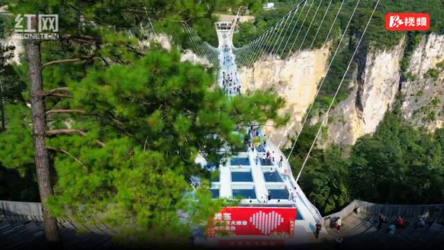 第一波游客已到达 张家界大峡谷景区做好迎客准备