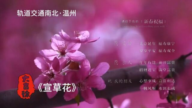 《宣草花》分享画音|温州轨道交通|