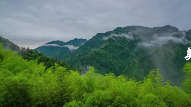 美在路上 喜在心田—龙泉市西独线