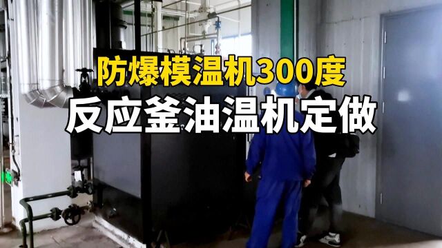 反应釜油温机定做 防爆模温机300度 南京欧能机械有限公司