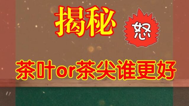 揭开茶叶的真正面纱:茶叶or茶尖谁更好?