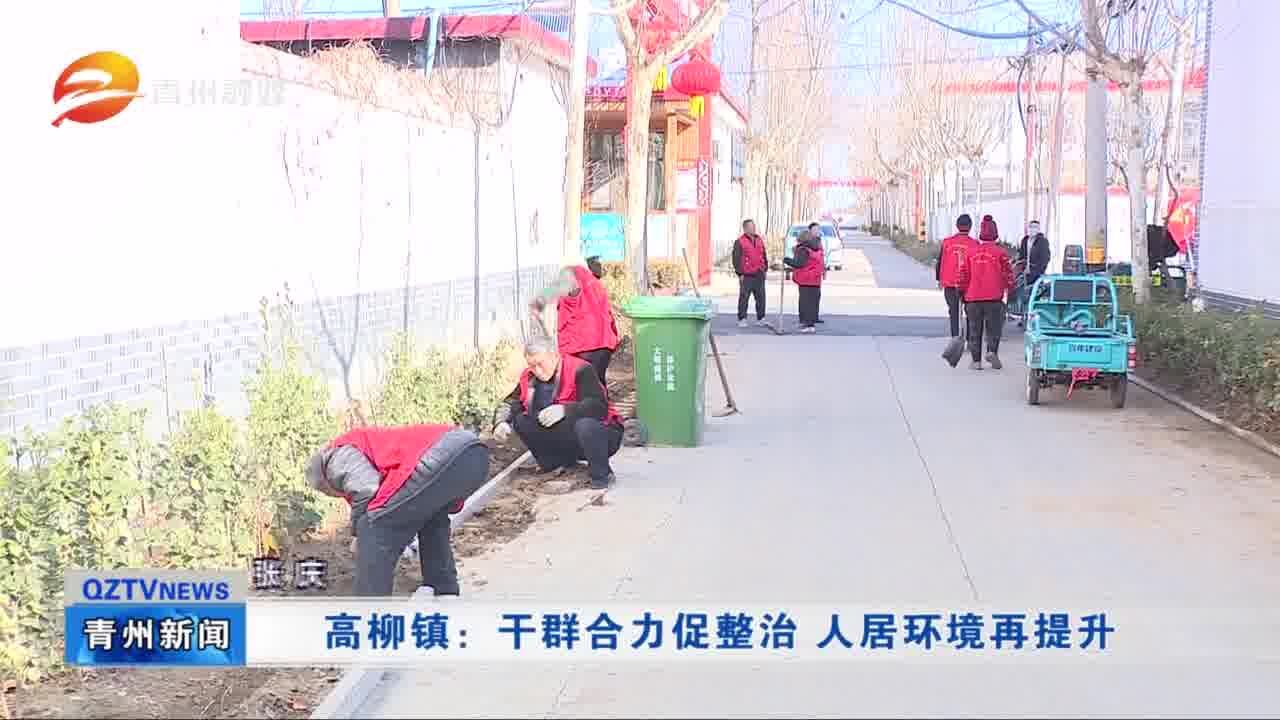 青州市高柳镇:干群合力促整治 人居环境再提升