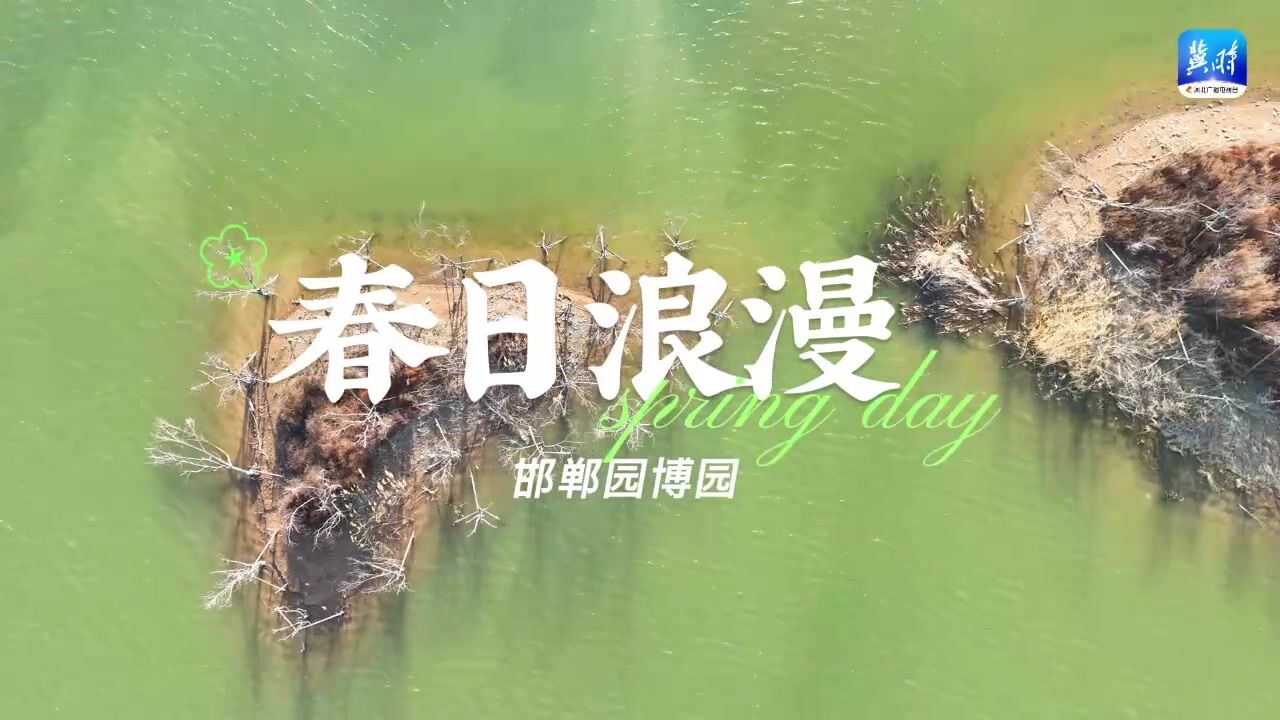 这么近 那么美 周末到河北 | 用一抹碧绿,唤醒春日浪漫!