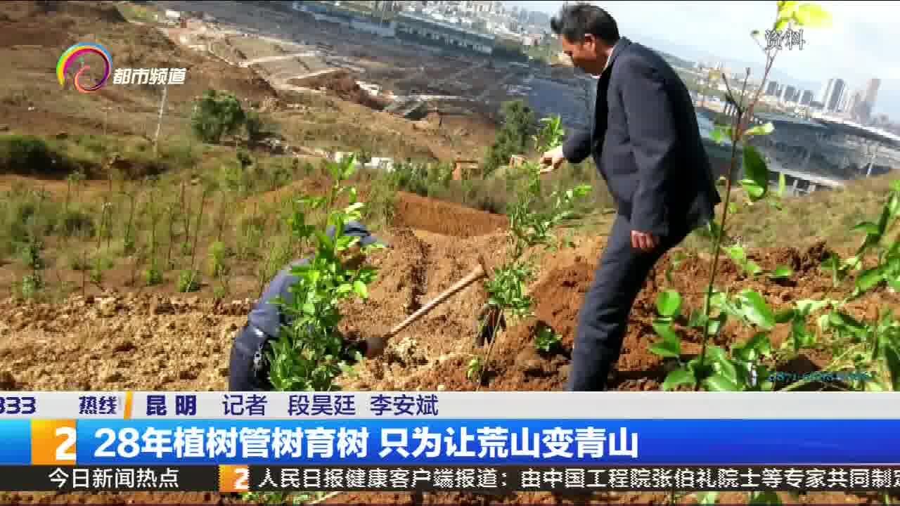 28年植树管树育树 只为让荒山变青山