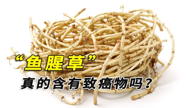 鱼腥草含一类致癌物?不仅伤肾还致癌?那我们还能吃吗?