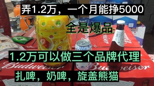 1.2万弄三个爆品的代理,月收入5000,百分之50的利润,圈内无敌