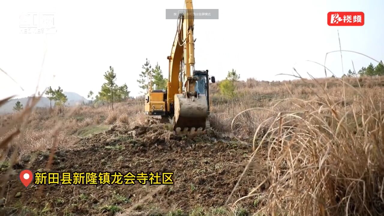 视频丨湖南新田:耕地提质保量 农业生产底气足