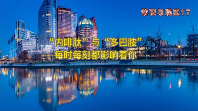 “内啡肽”与“多巴胺”,每时每刻都影响着你(常识与误区18)