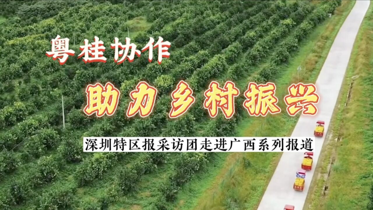 粤桂协作 乡村兴①丨邝兵:粤桂双向奔赴 推进乡村振兴高质量发展