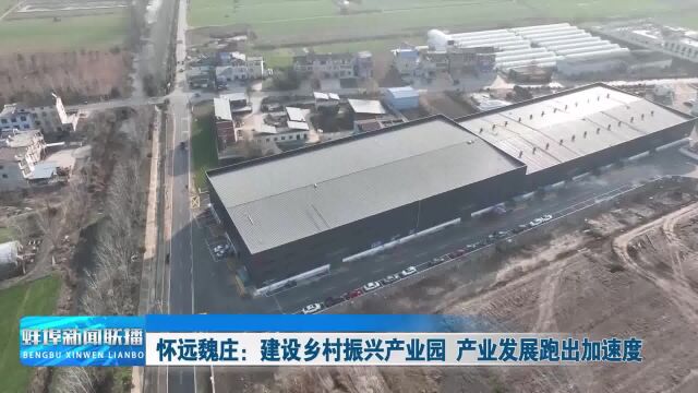 【乡村振兴进行时】怀远魏庄:建设乡村振兴产业园 产业发展跑出加速度