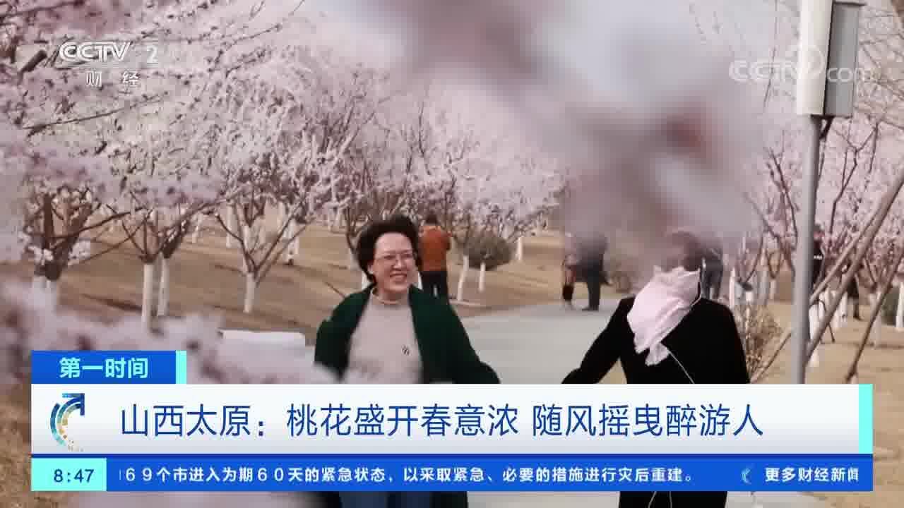 赏花经济带火文旅消费