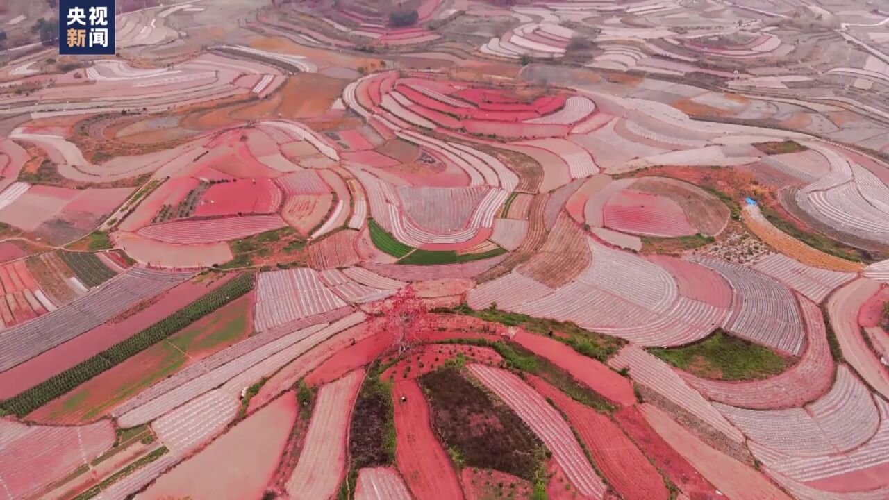 壮观!航拍看红土地宛如大地油画