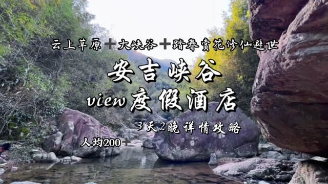 人均200带你玩转安吉云上草原大峡谷云海日出上山采茶挖笋体验隐市修仙乐趣#江浙沪周边游 #安吉旅游攻略 #谁不喜欢这满屏诗画之地