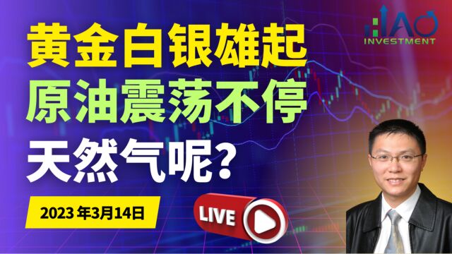 黄金价格预测2000美元?白银走势雄起 原油价格走势震荡不停 天然气行情呢?