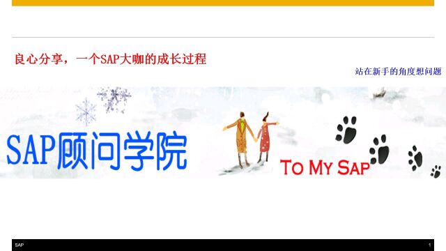 良心分享,一个SAP大咖的成长过程