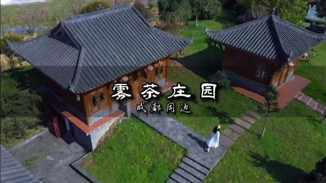 成都1.5h直达的宝藏茶园,周末去过两天向往的生活吧 #春日游玩攻略 #雾茶庄园 #成都周边 #亲子游玩好去处 #向往的生活