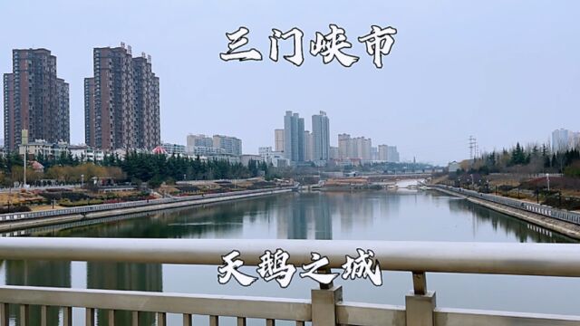 河南省三门峡市,被誉为天鹅之城,挺漂亮的水城