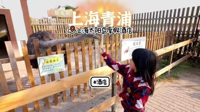 上海周末去哪里遛娃溜毛小孩 这个岛你们一定会喜欢#亲子游玩好去处 #莫云游世界#上海太阳岛度假酒店