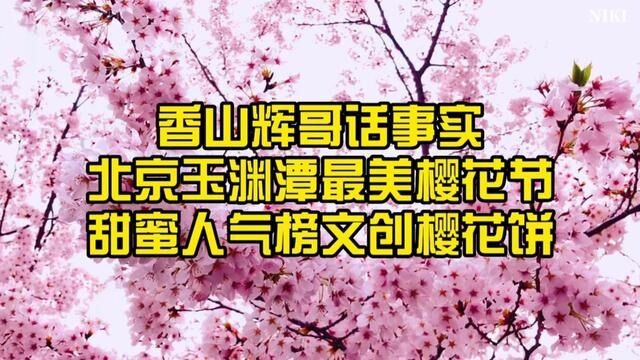 香山辉哥话事实 北京春季玉渊潭最美樱花节 甜蜜人气榜文创樱花饼 #香山辉哥话事实#旅游#同城发现#樱花节#美食