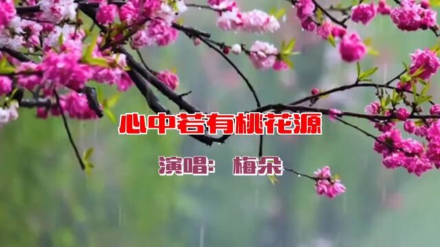 梅朵演唱的歌曲《心中若有桃花源》,请欣赏