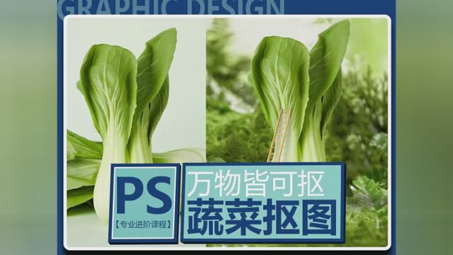 PS零基础教程,万物皆能抠, 平面美工简单易懂搜 #捕捉春日光影