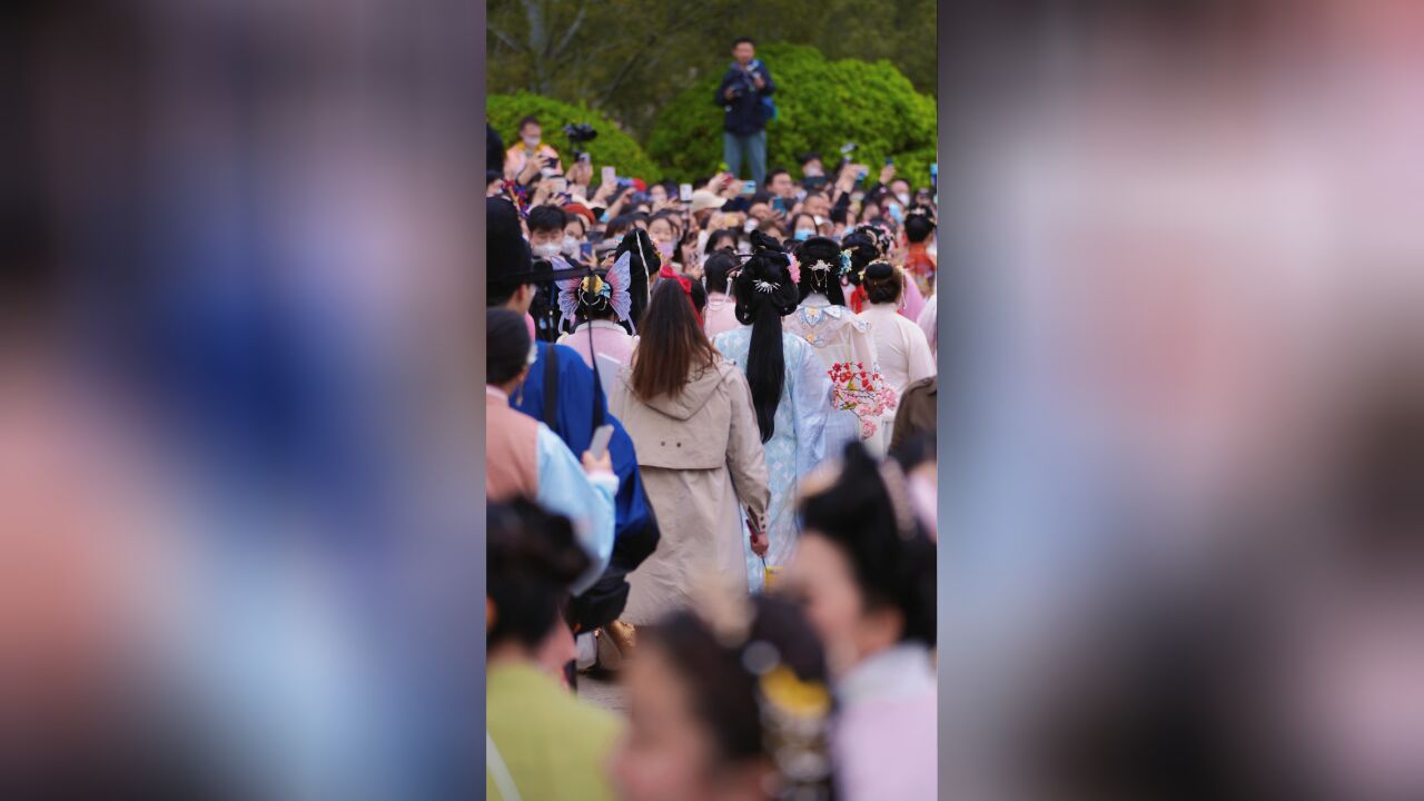 花朝节侧记|以花朝为期 会于明湖的春日浪漫