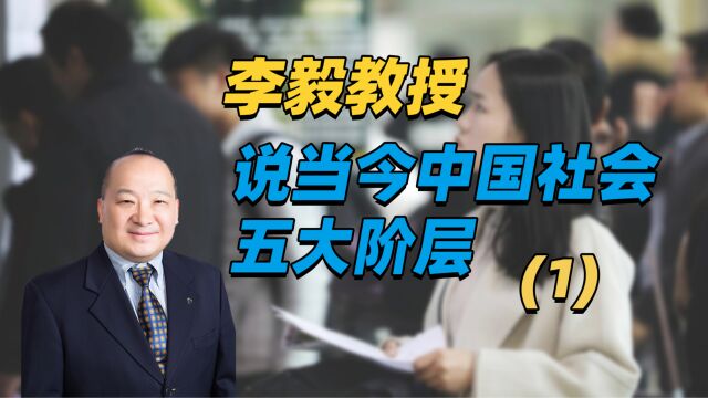 李毅教授说当今中国社会五大阶层1