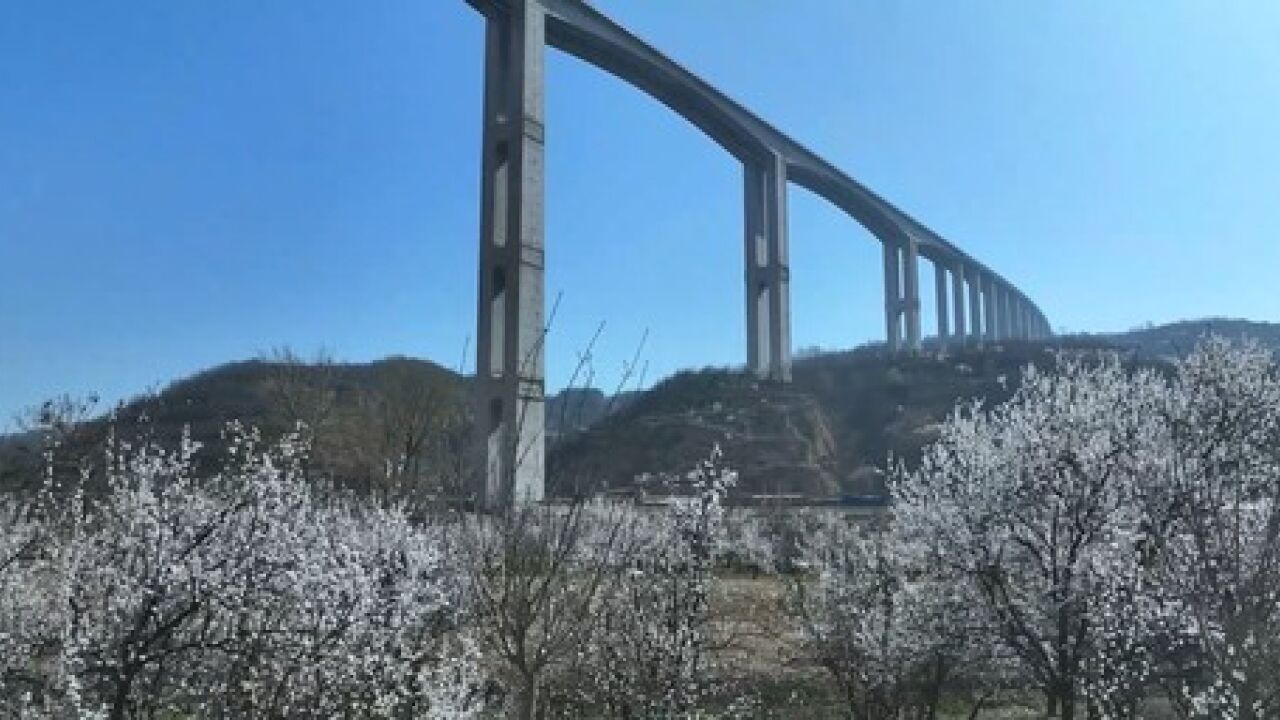 【飞越咸阳】当杏花与三水河特大桥相遇