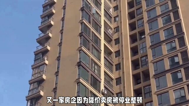 保利阳光城降价销售被停业整顿: 房价涨跌中的市场之惑