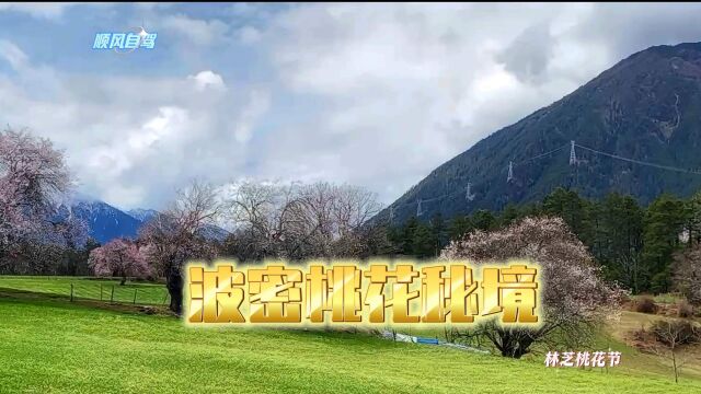 三四月份桃花季,林芝桃花在等你