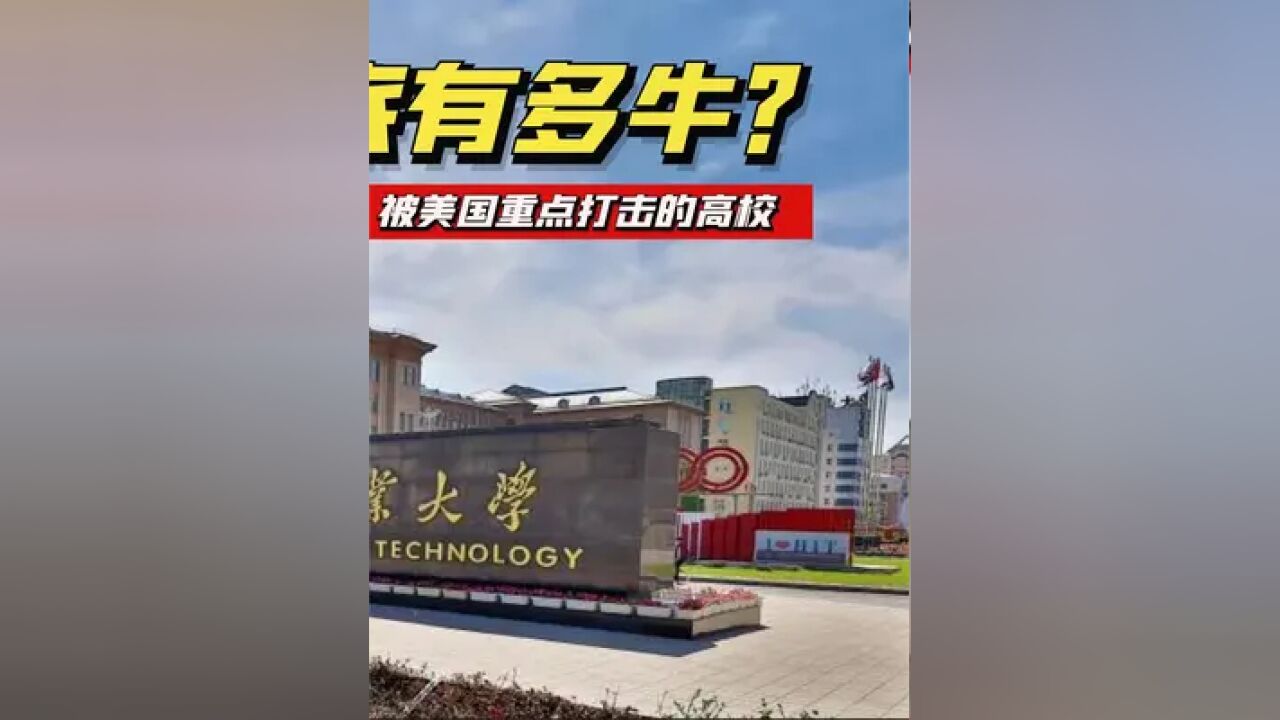 这个美国政府都害怕的大学什么来头?#哈工大 #实力 #涨知识