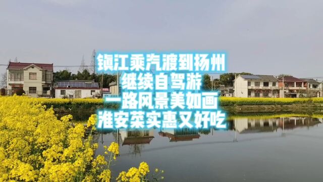 镇江乘汽渡过长江到扬州,自驾路上风景美如画,淮安菜实惠又好吃