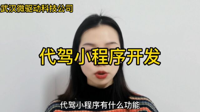 代驾软件开发公司