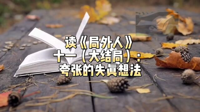 读《局外人》十一(大结局):夸张的失真想法 #读书 #文化 #文学