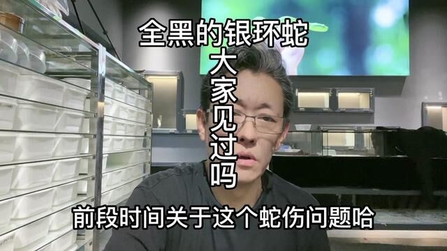 全黑的银环蛇,大家见过吗?通过照片能准确判断毒蛇吗?#银环蛇