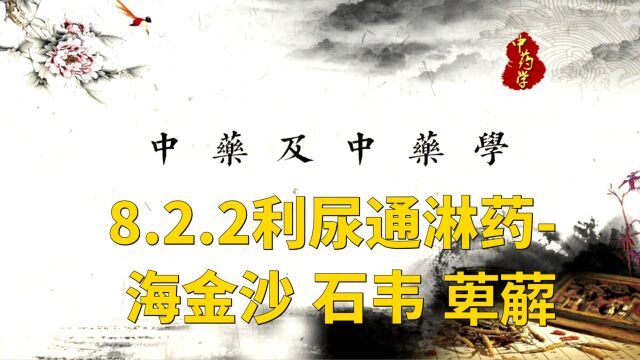 【中药学】8.2.2利尿通淋药海金沙 石韦 萆薢,中医学习课程,零基础自学养生教程