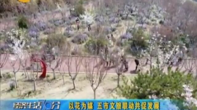 锦绣太原,以花为媒!五市文旅联动共促发展