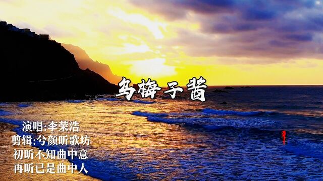 《乌梅子酱》李荣浩 经典歌曲