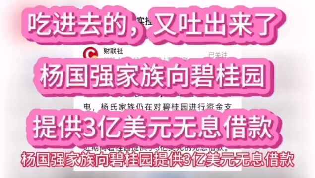 杨国强家族向碧桂园提供3亿美元无息借款,吃进去的,又吐出来了