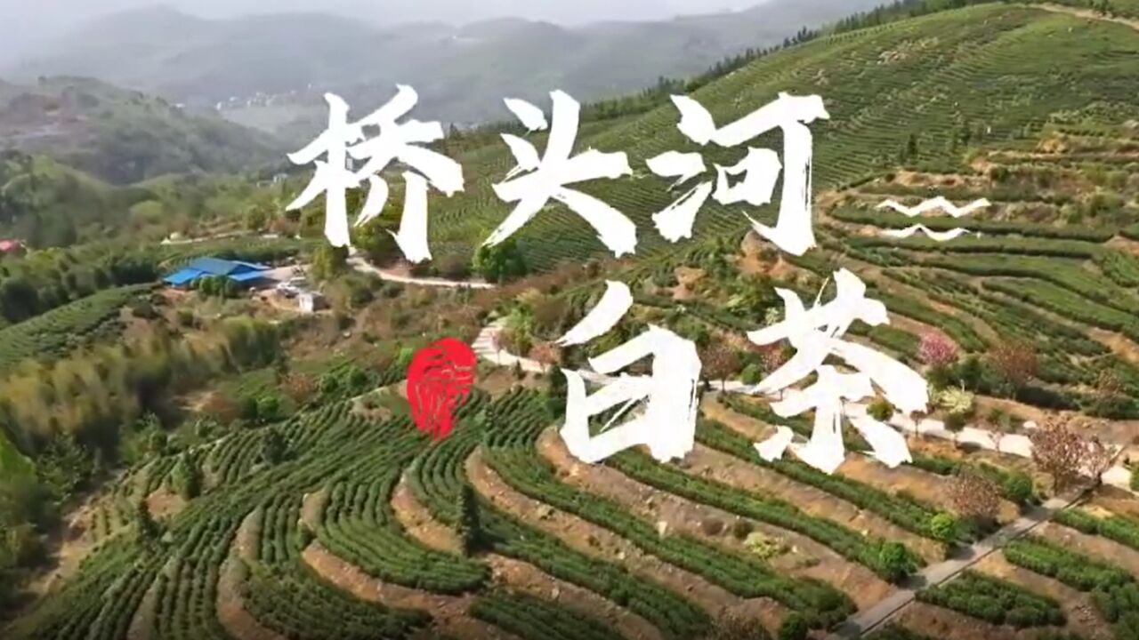 涟源:茶歌飞扬采茶忙