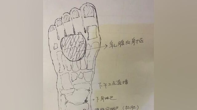 手绘 #绘画欣赏 #绘画艺术