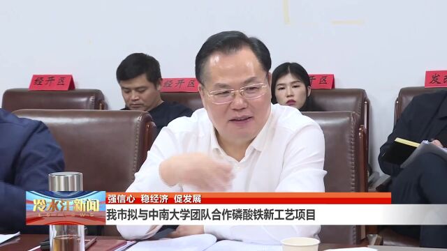 头条 | 冷水江拟与中南大学团队合作磷酸铁新工艺项目 曾伯怡出席