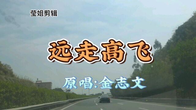 《远走高飞》原唱金志文 ,明快跳跃、轻松雅致