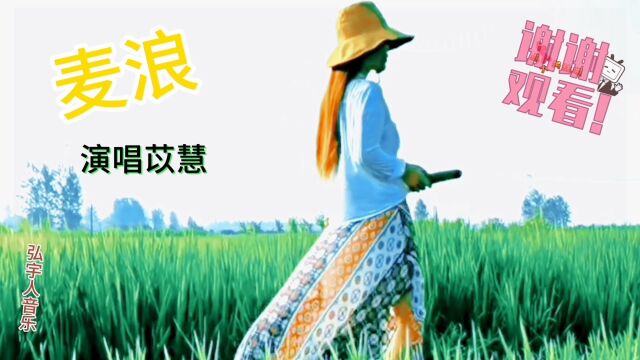 2023抖音热榜歌曲苡慧《麦浪》甜美的爱情