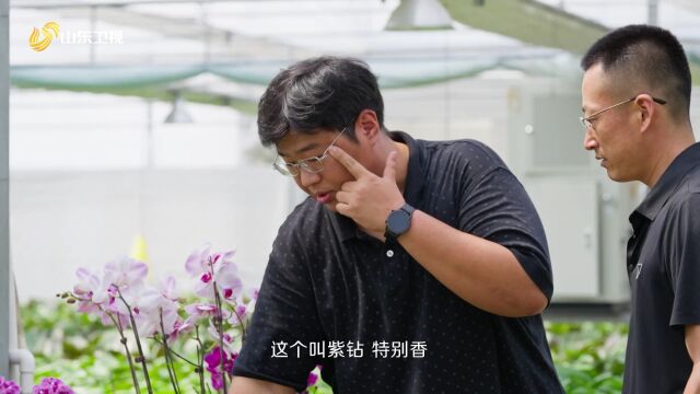 村村有好戏|花农于林讲述与“花中皇后”的奇妙缘分!