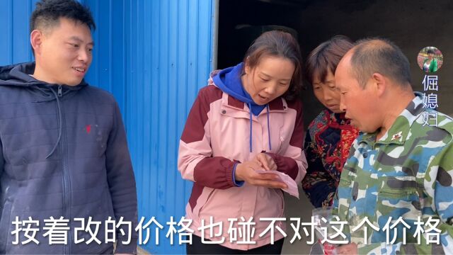 倔媳妇得知华强改账单,气势汹汹猪场找算账,常输出馊主意真搞笑